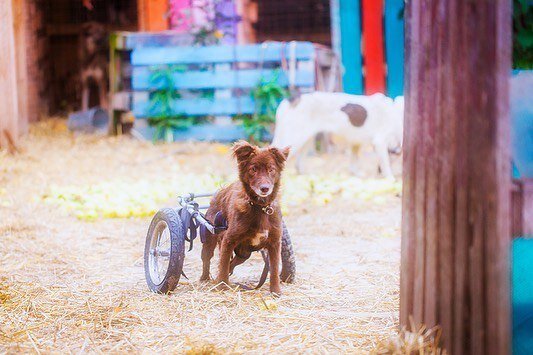 Подписывайтесь на канал и ставьте лайки - так вы поможете развитию канала и не потеряете нашу семейку
