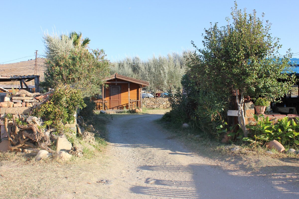 Фото автора статьи