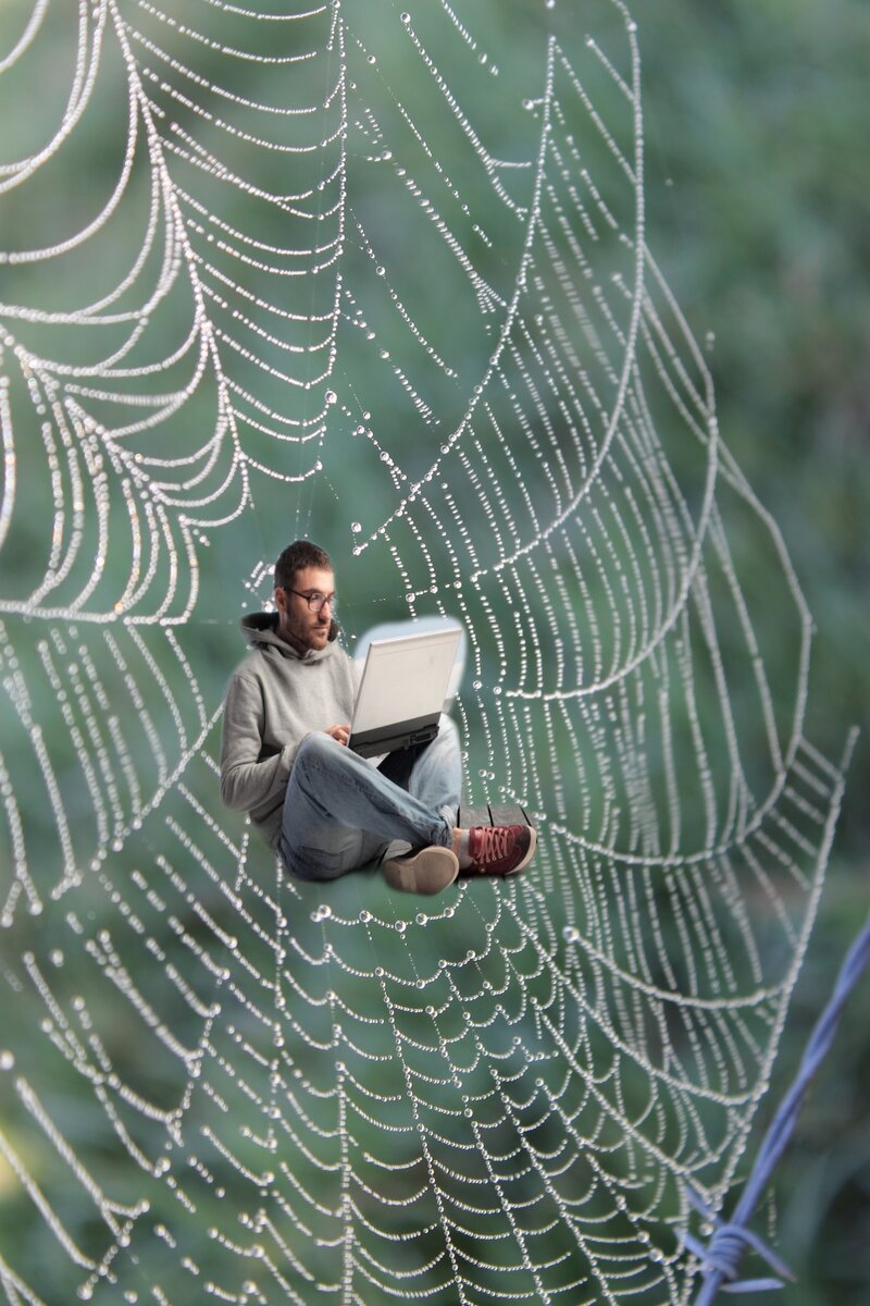 Всемирная паутина... 