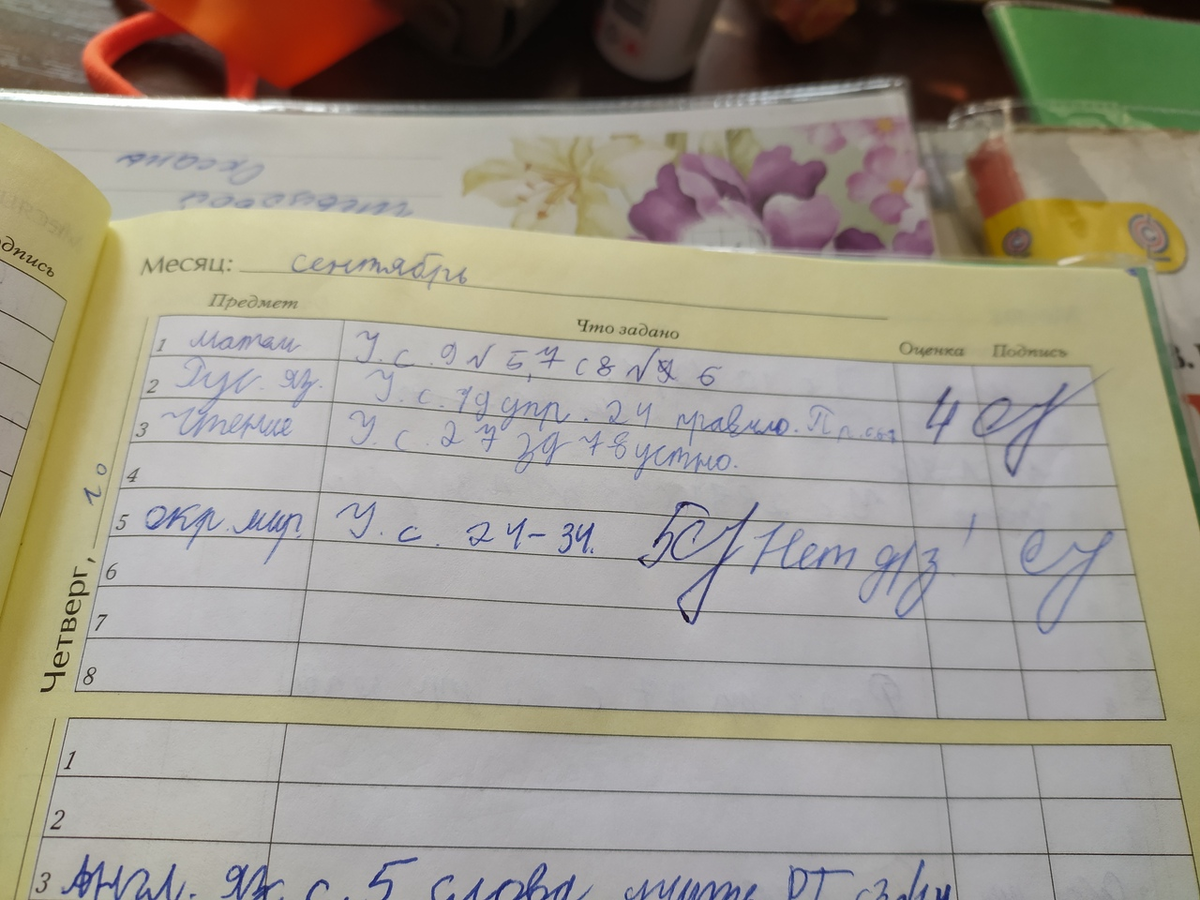 Запись в дневнике.