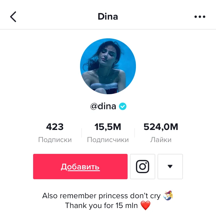 Аккаунт Дины в ТТ