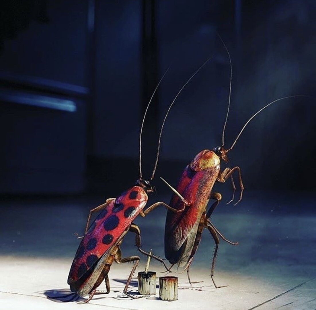 фото использовано в качестве иллюстрации. Источник "Яндекс.Картинки