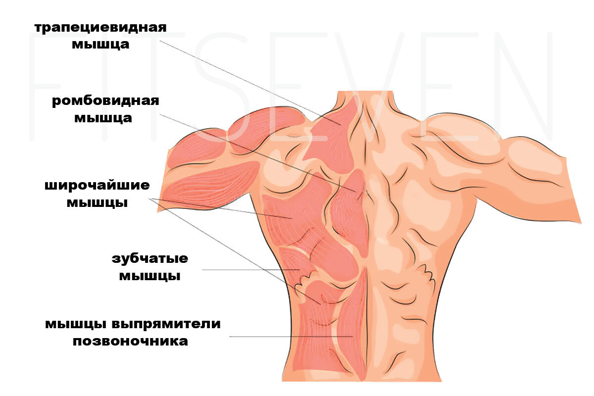 Боли в мышцах - лечение, симптомы, причины, диагностика | Центр Дикуля