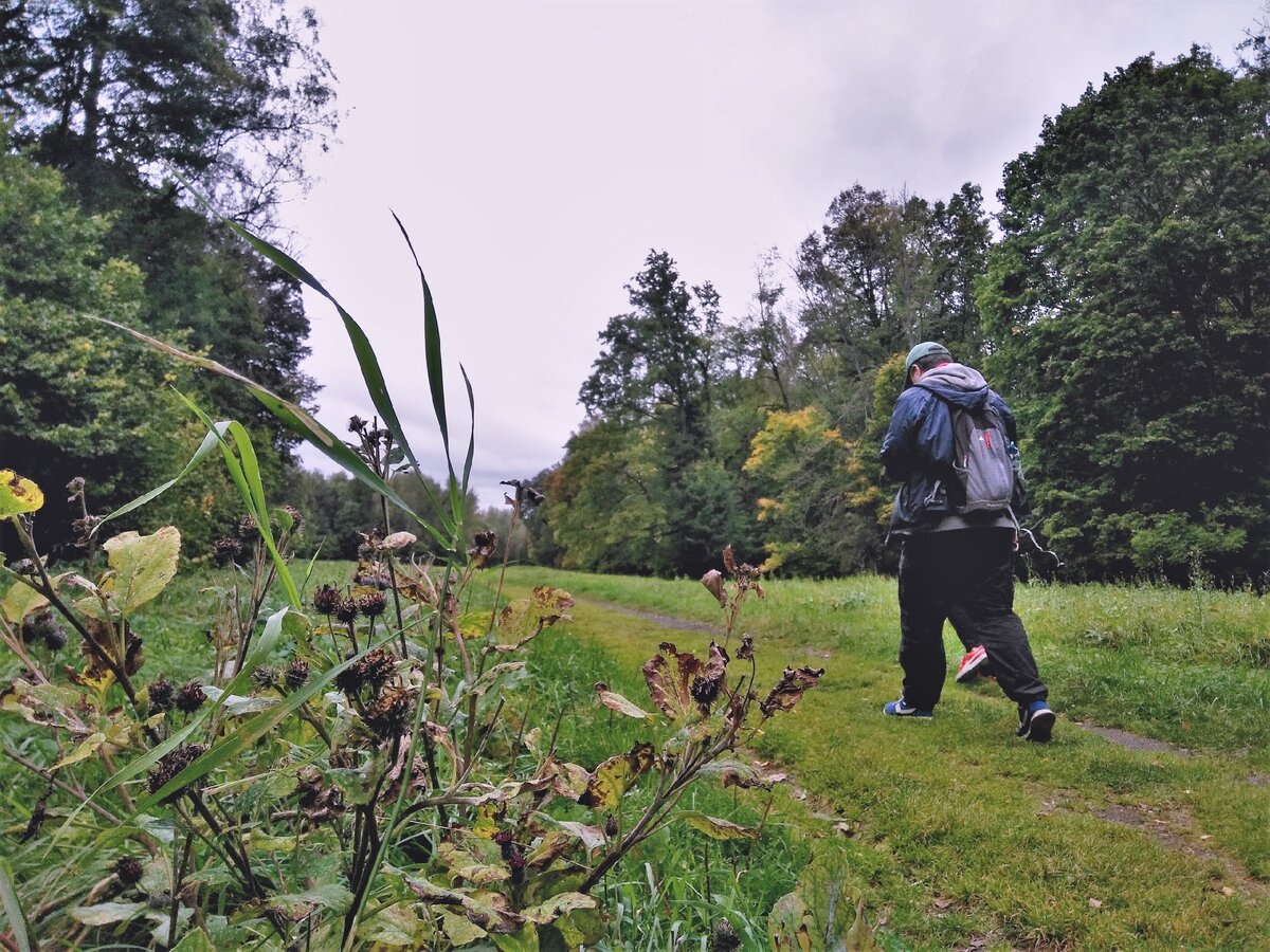 Дорожка на Калинов Луг