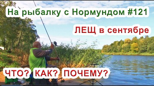 Лещ в сентябре. Что? Как? Почему? / На рыбалку с нормундом #121