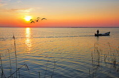 Дикие гуси в это время улетали в теплые края, а охотники выходили на последний промысел (Фото: kesipun, Shutterstock)