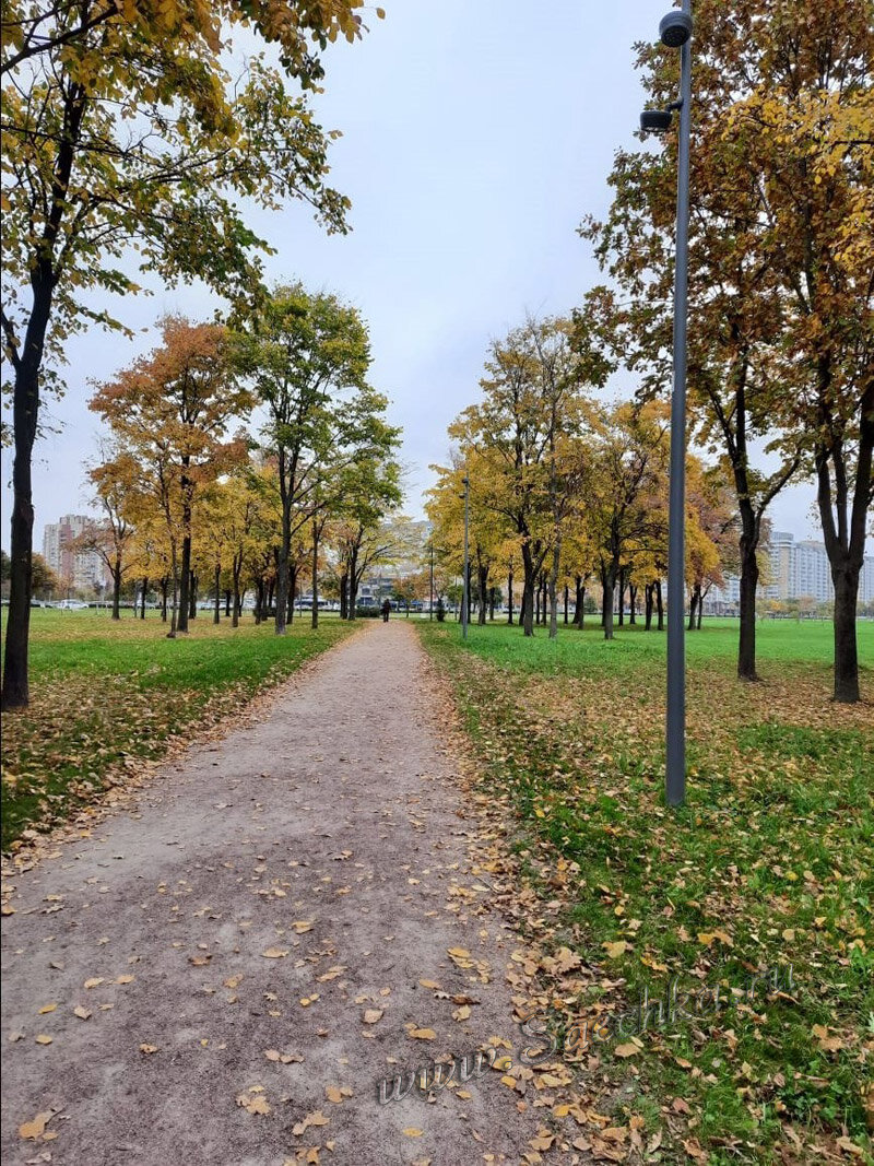 Осень в Питере