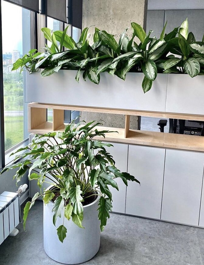 Кашпо марки Treez Effectory, серия Beton, арт. 41.3320-02-028-LG Цилиндр, цвет Серый ледник.