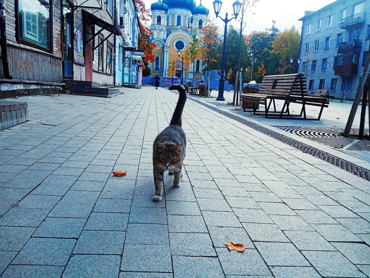 Четвералапый хранитель 