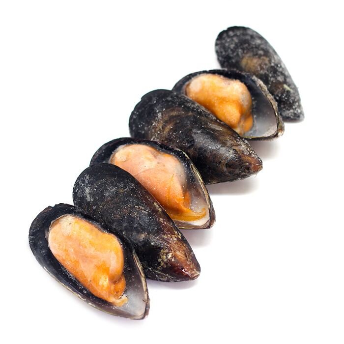 Северные мидии