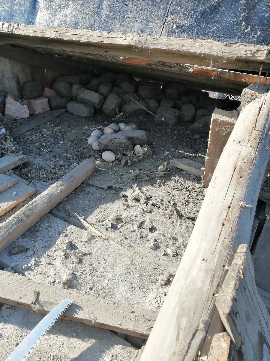 Сначало стало немного жутковато.