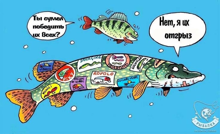 Иллюстрация к статье. Яндекс картинки.