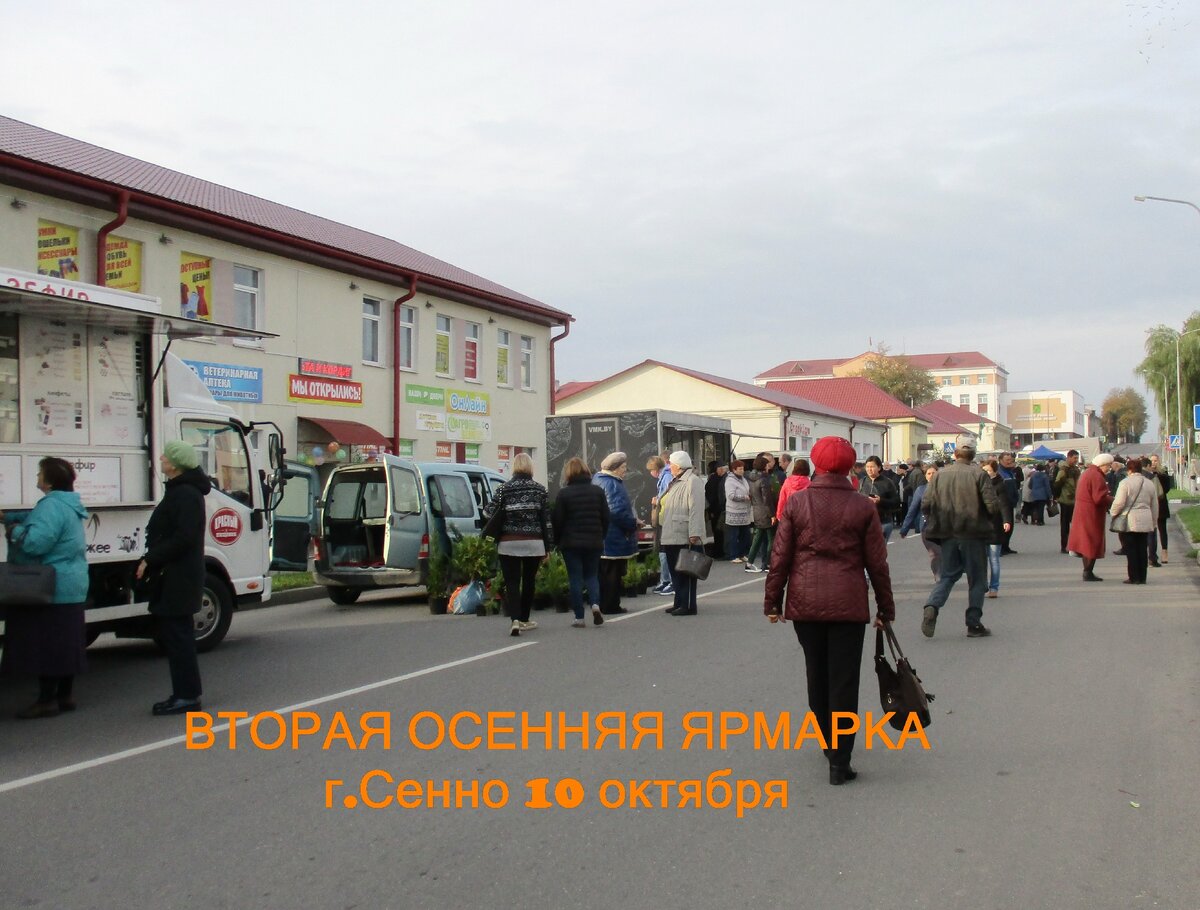 На второй осенней ярмарке.