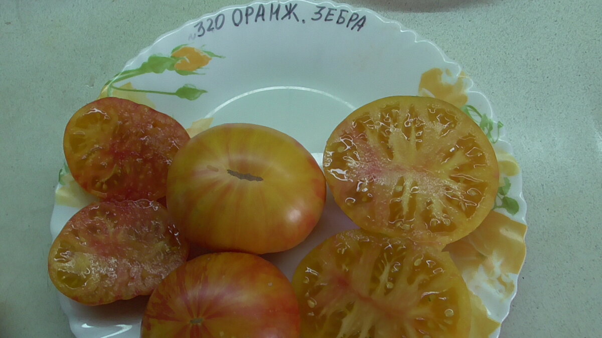 Оранжевая зебра