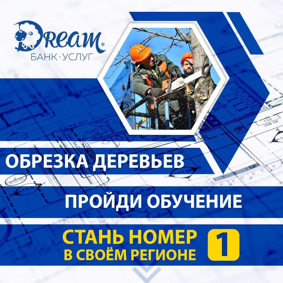 Как стать №1 на рынке обрезки деревьев | Блог компании Dream Group | Дзен