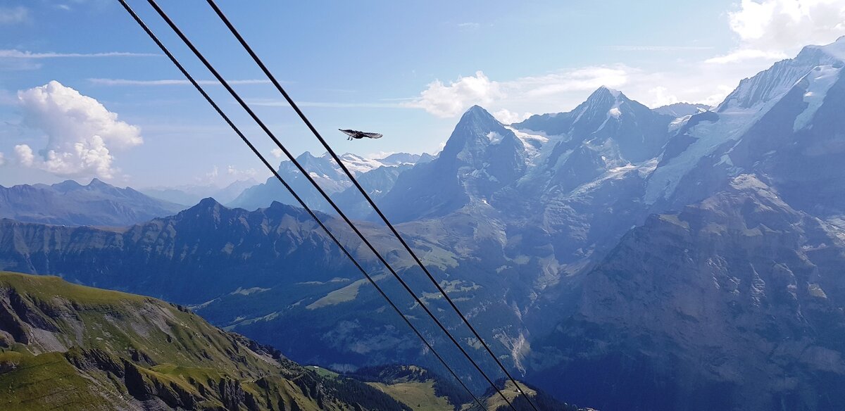 Это Швейцария, фото сделанное с канатной дороги на Шилтхорн.