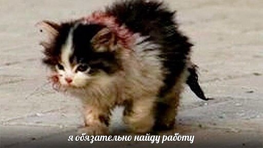 Я обязательно найду работу.