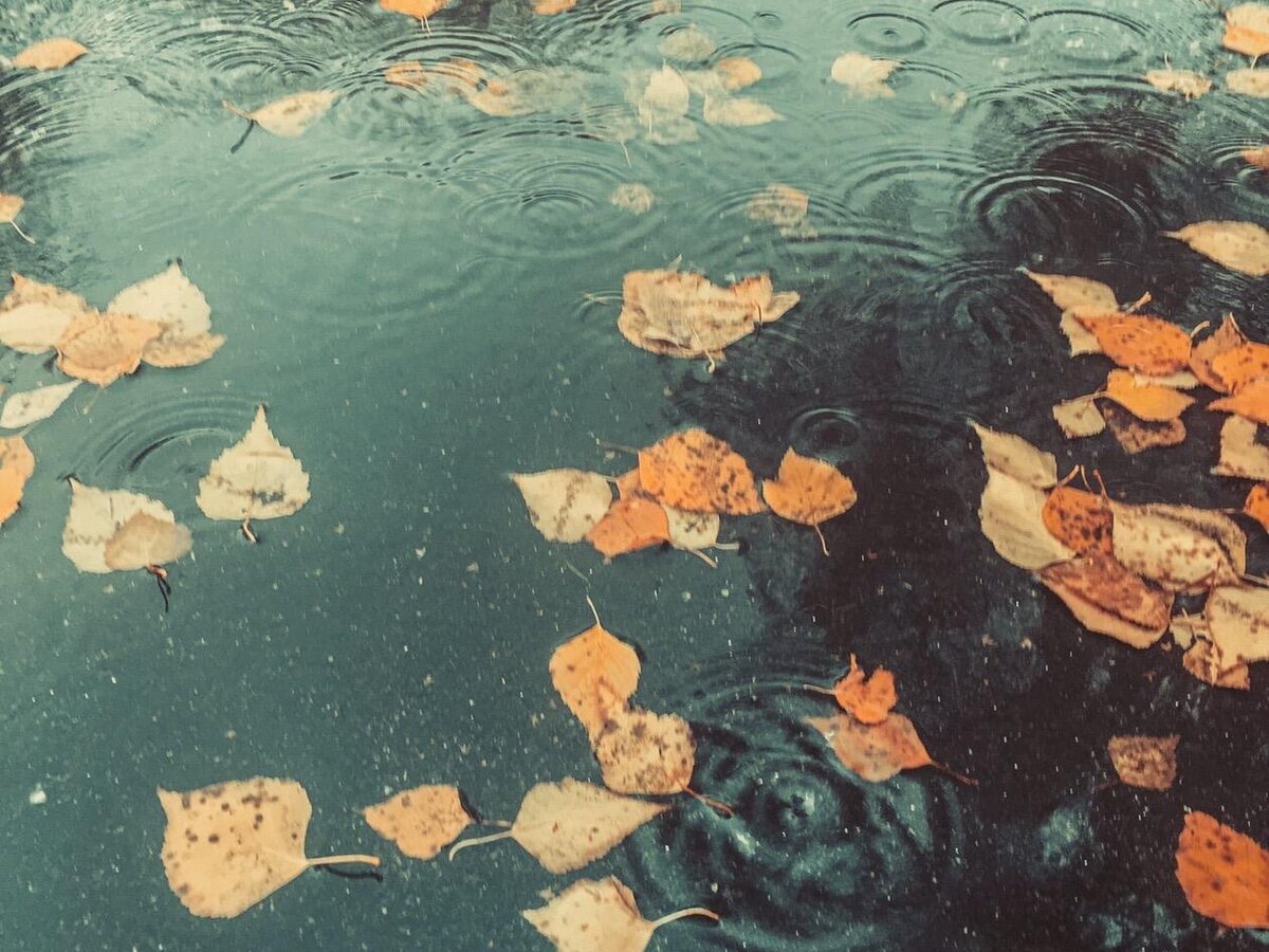 Фото из личного архива. Дождь заставляет пользоваться маршрутным такси)