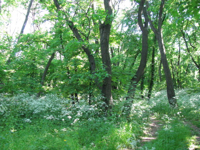 Фото из личного архива