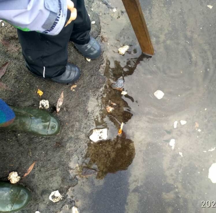 Гуляем каждый день в любую погоду,  3 часа минимум