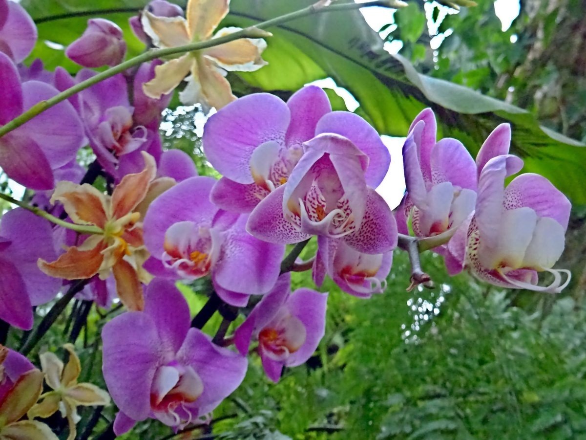 Фото из открытых источников  