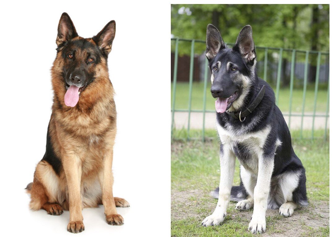 Фото из открытых источников на images.google