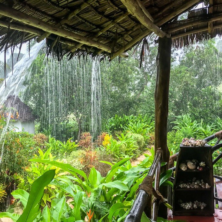 Дождь на Занзибаре