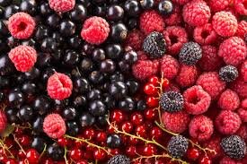 https://image.freepik.com/free-photo/raspberry-blackberry-and-currant-background-fruit-background_113725-830.jpg