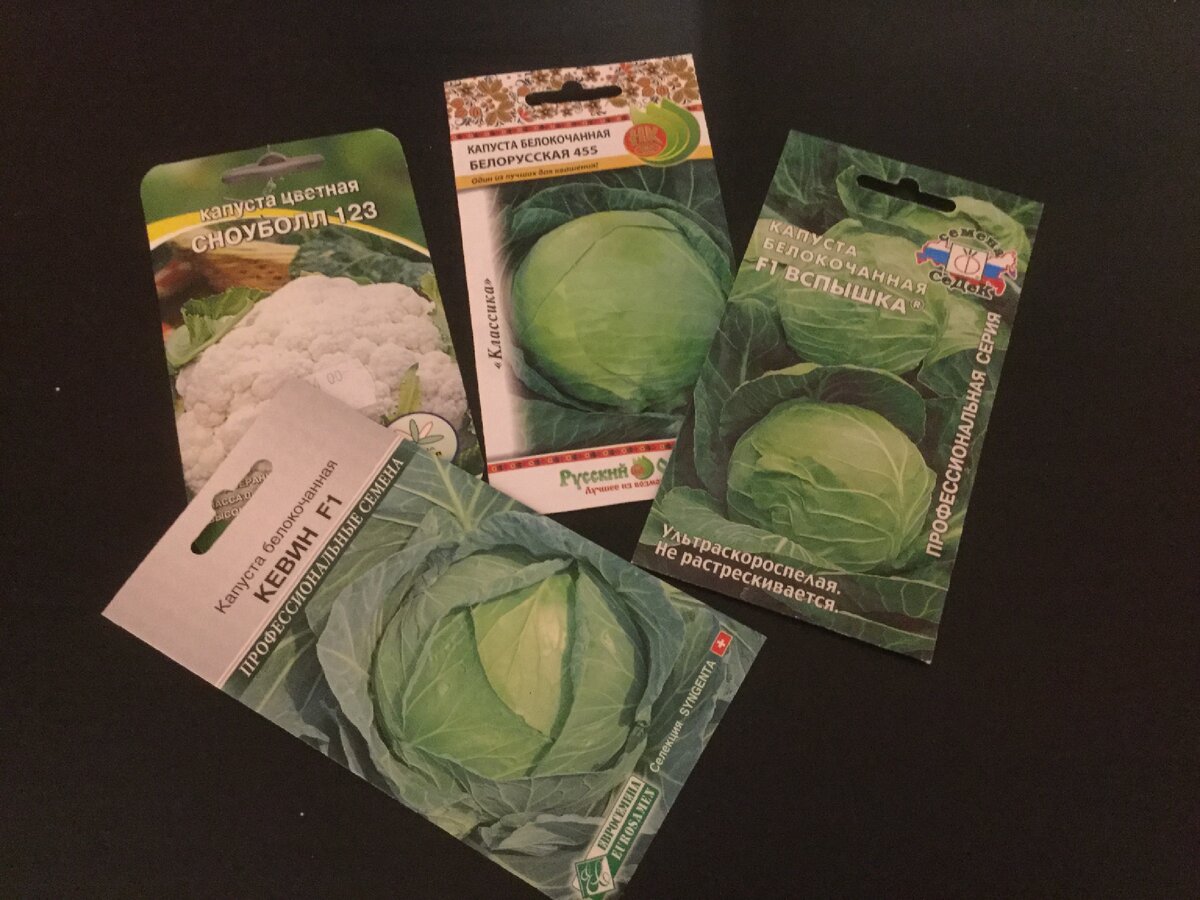 Семена на следующий сезон