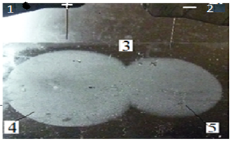 рис.2. Реплика положительной и отрицательной корон.1,2-зажимы электродов типа игла.4-положительная корона, 5-отрицательная корона. 3-жидкокристаллический детектор (плоский электрод).