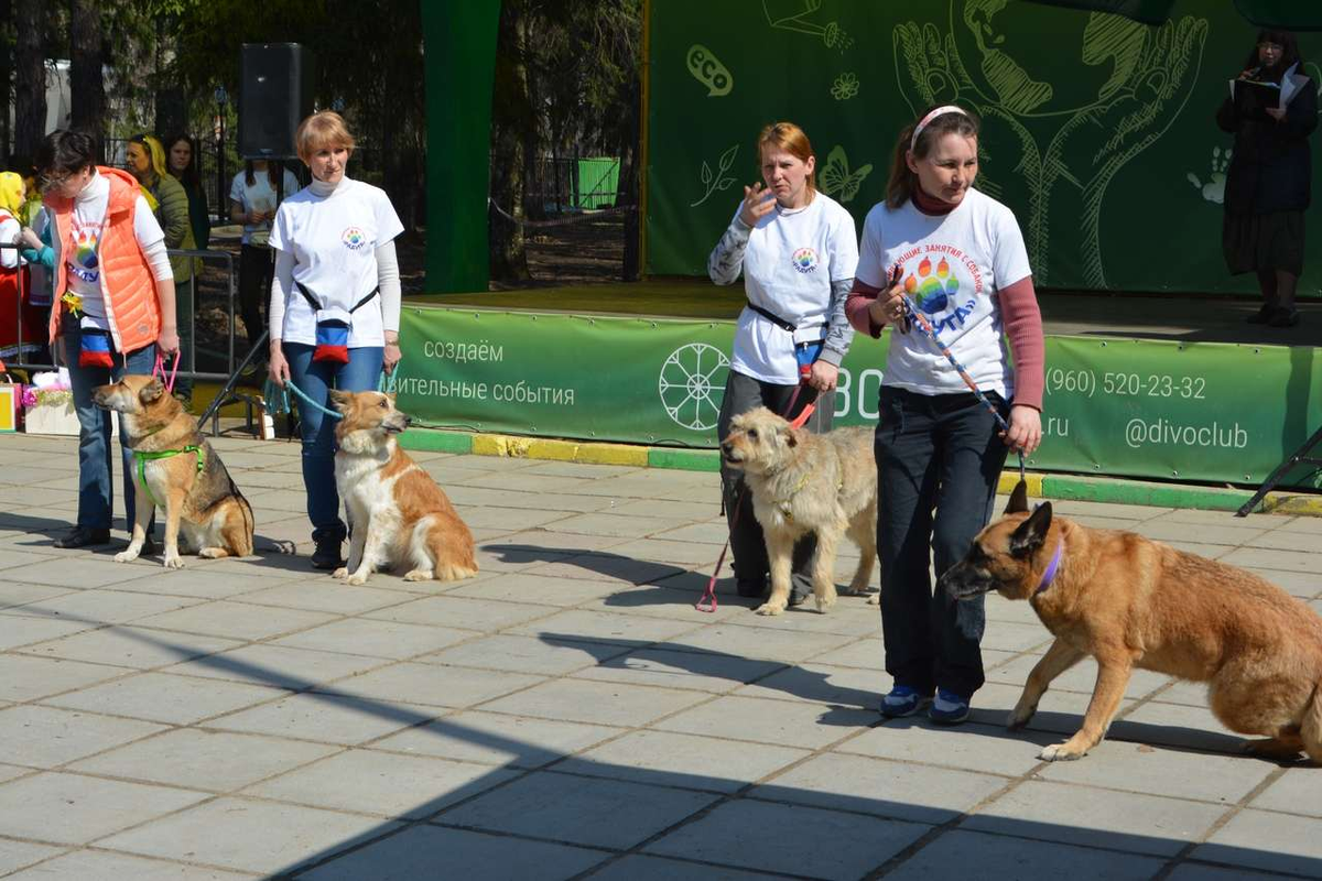 Празднование 10-летития Нового Ковчега