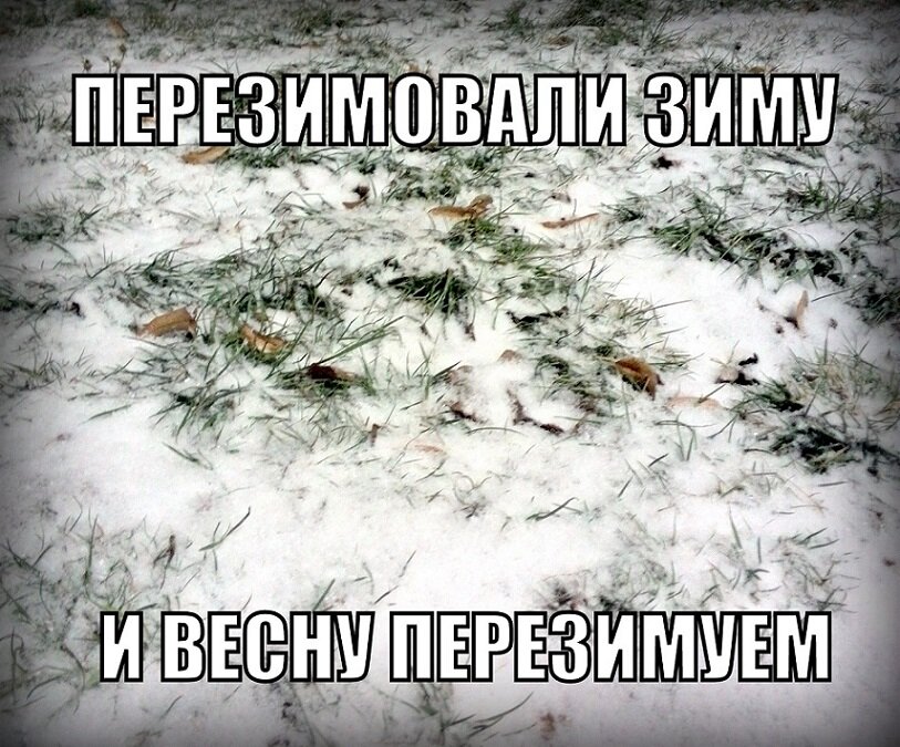 Получение истинного удовольствия от водки совсем не обязательно связано с картиной заснеженного леса