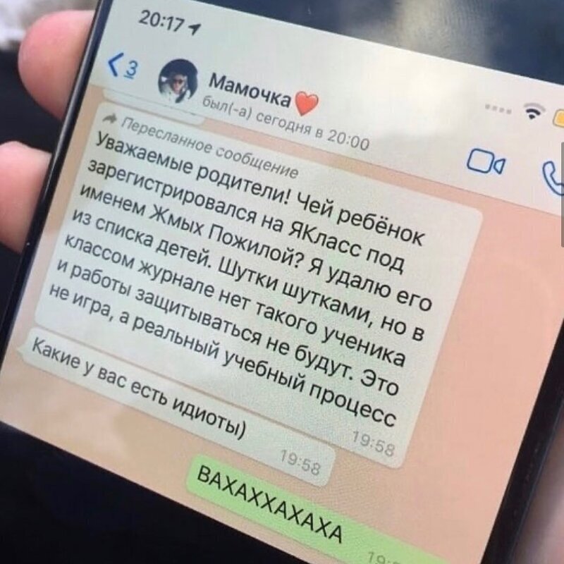 Дистанционное образование - это не повод унывать.