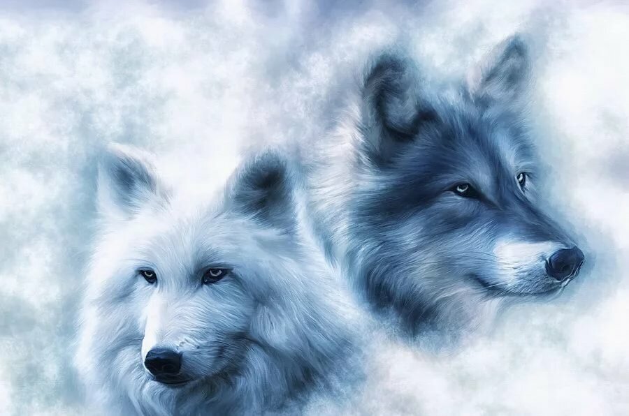 I часть  
Рецепт от одиночества для синеглазой Волчицы,
или Такая магия - Любовь!