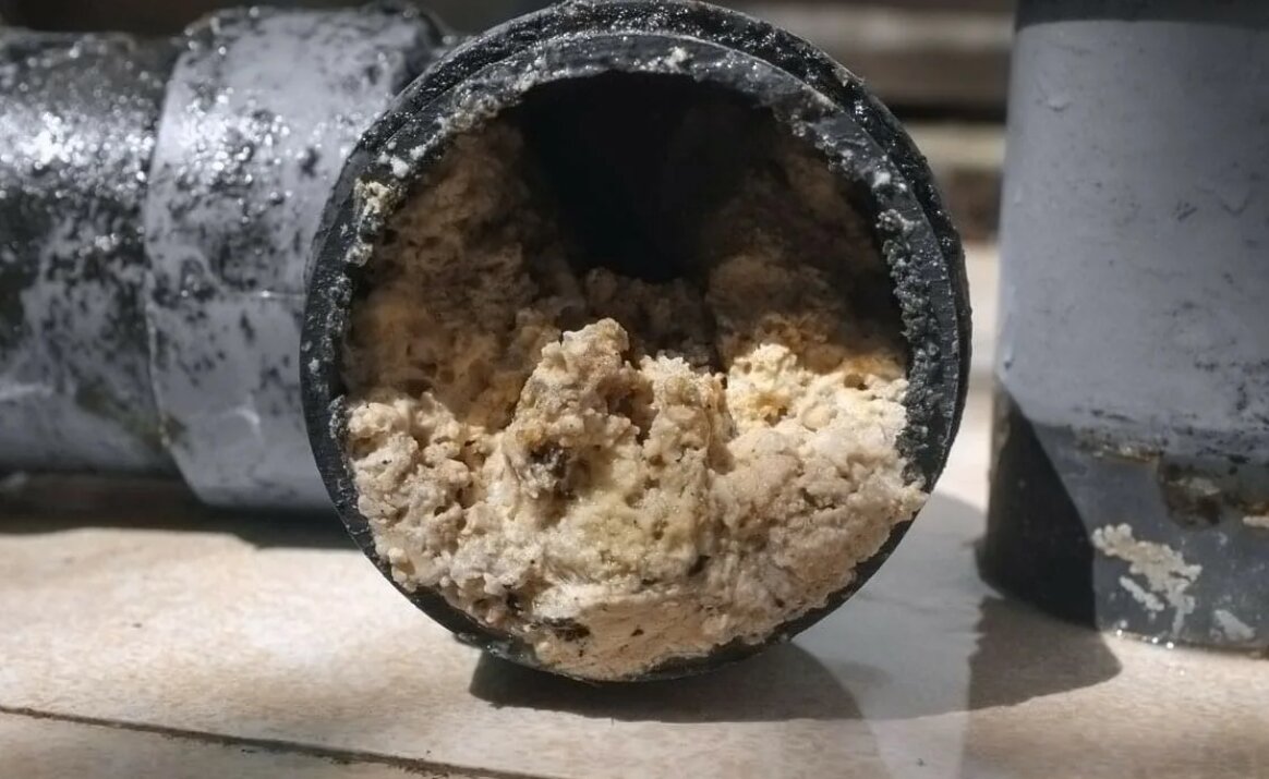 Фото: Яндекс Картинки