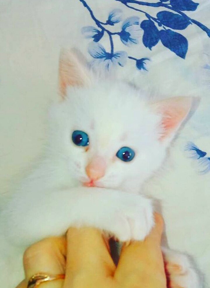 Фото из личного архива