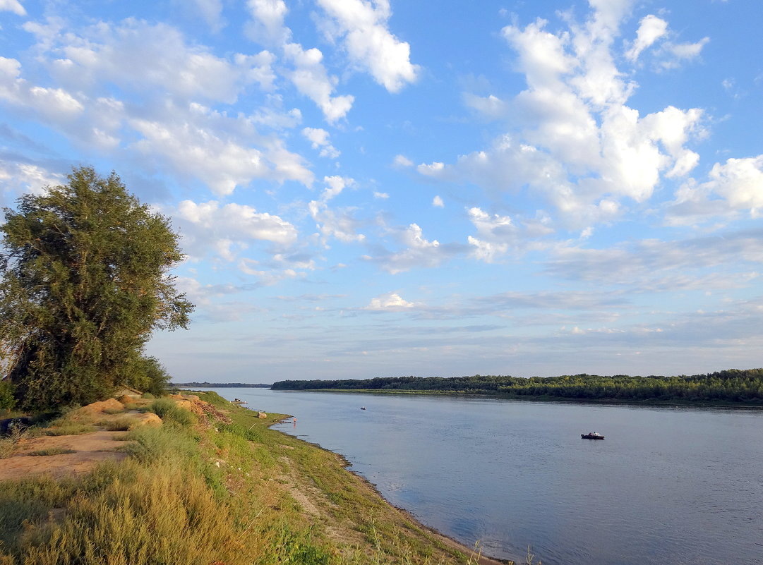 Фото из открытых источников