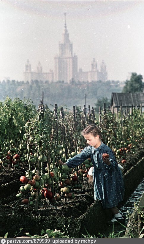 Стадион Лужники – главная спортивная арена страны с 1950-х годов. Тут проходили ключевые для государства мероприятия – Олимпиады, Спартакиады, Чемпионаты мира.-2