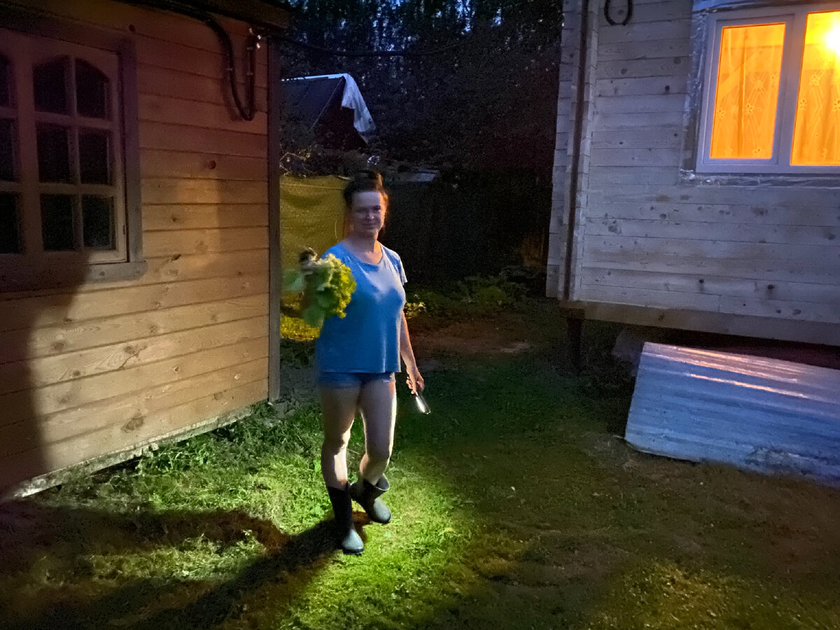 Скажу честно, мне было не удобно с фонарём рвать салат)) Но фонарик конечно не прожектор, эксперимент не чистый