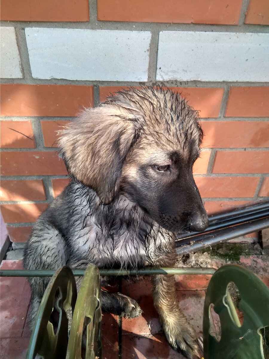 Фото автора.