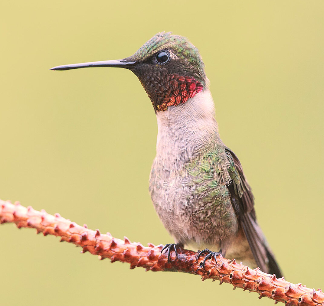 10 интересных вопросов для вас 