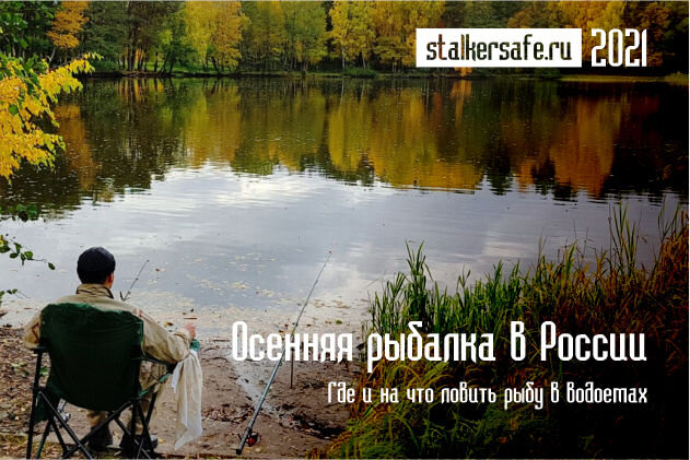 Интернет-магазин Stalkersafe.ru