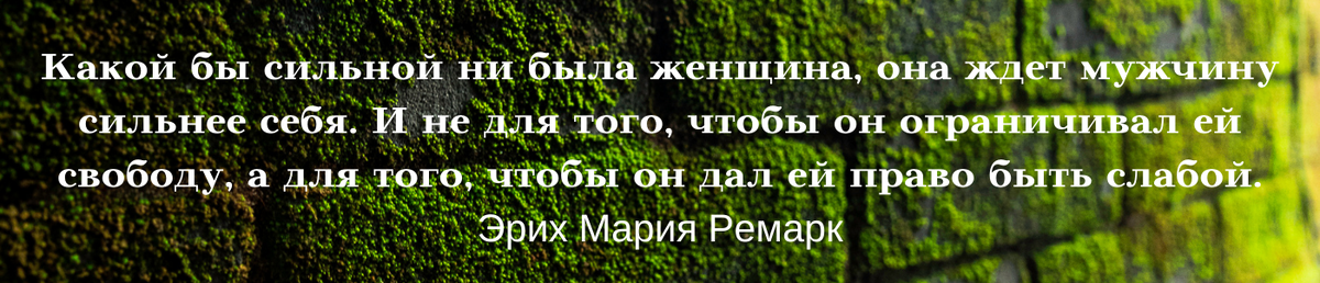 Цитата из открытого источника, коллаж составлен лично, в Канва. 