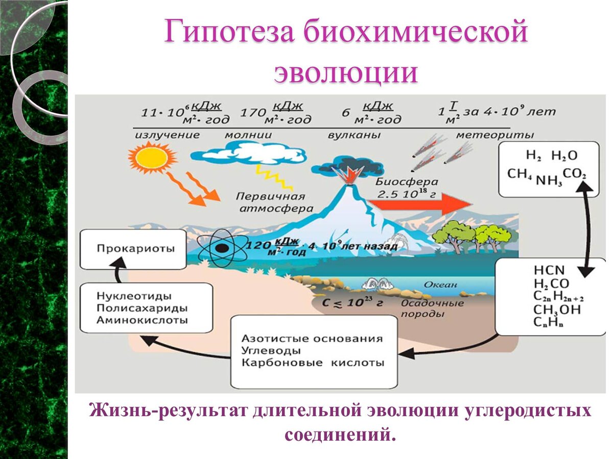 Новая система органического мира презентация 10 класс