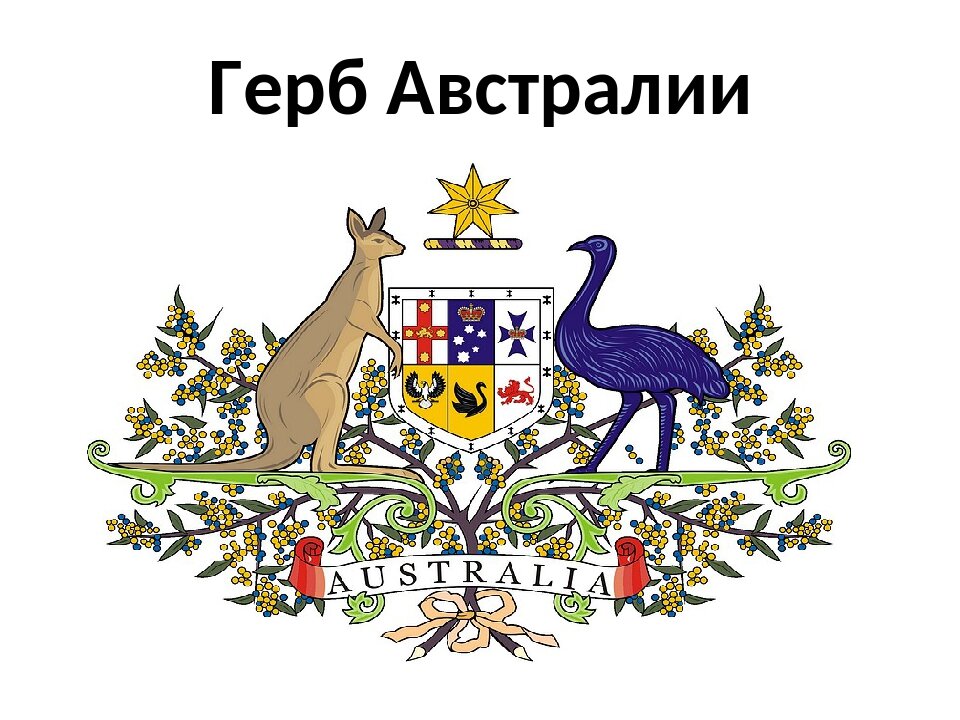 Какой символ австралии. Гос герб Австралии. Кенгуру на гербе Австралии. Национальные символы Австралии. Австралия герб Австралии.