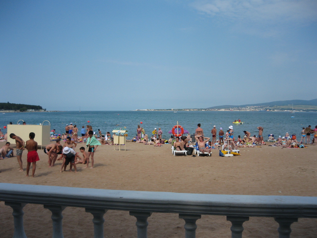2008 год