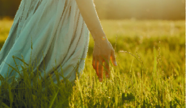 Фото скачано с сайта pexels.com