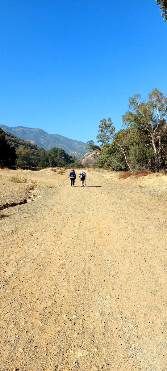 Фото из личного архива автора. 