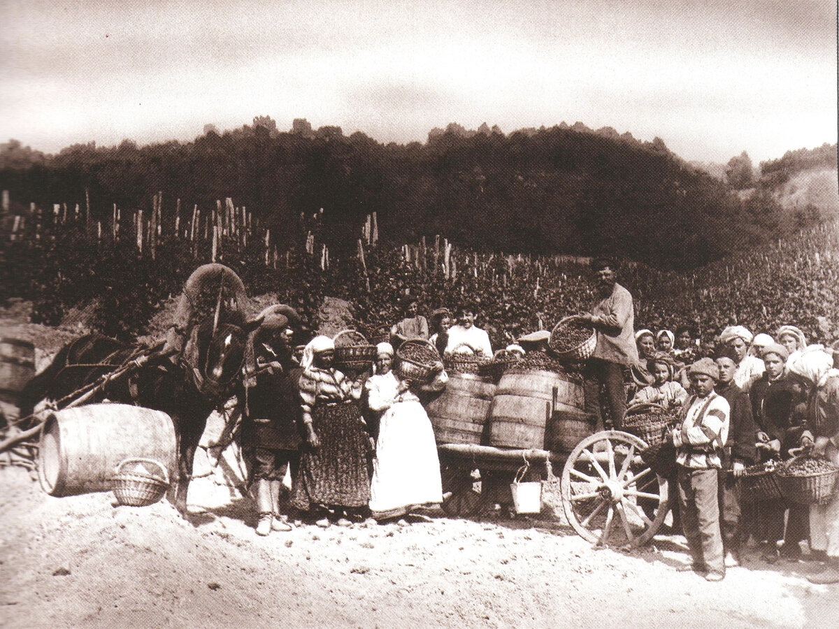 фото из свободных источников