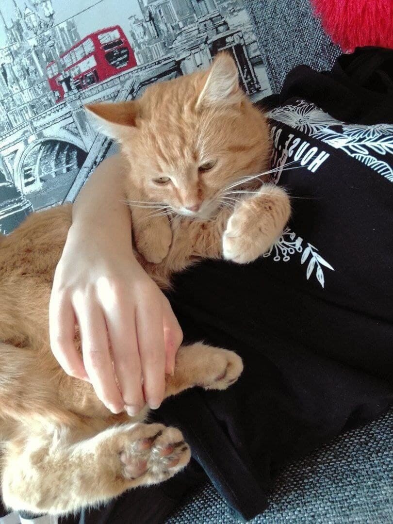 Фото Маргариты Грачёвой